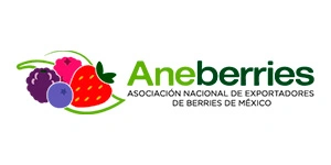 Aneberries